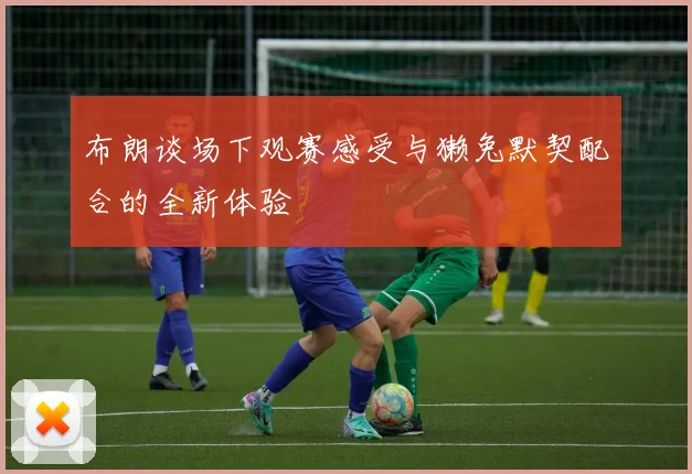 布朗谈场下观赛感受与獭兔默契配合的全新体验