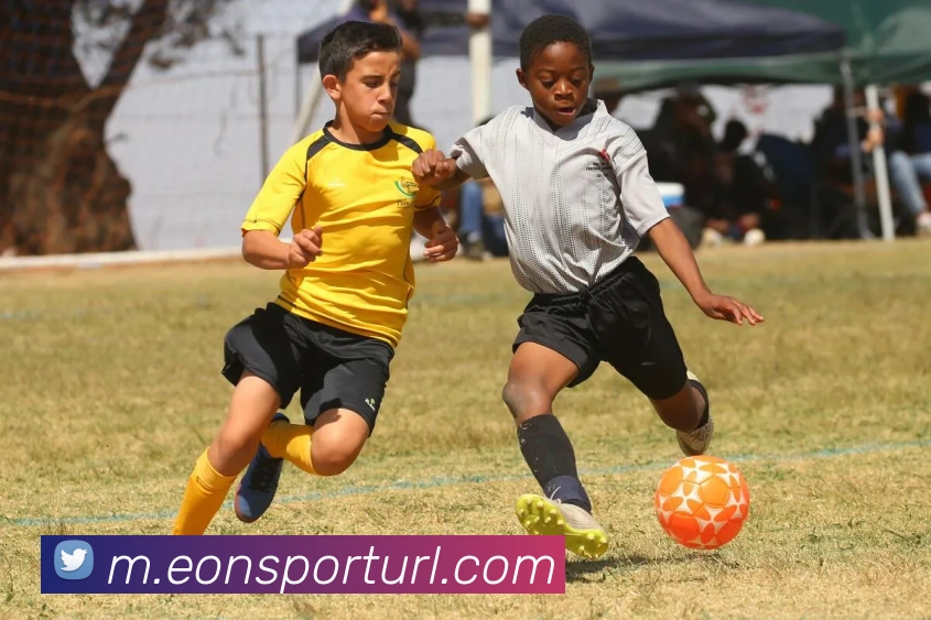 App Interface Preview